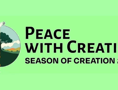 Season of Creation Schedule 2025