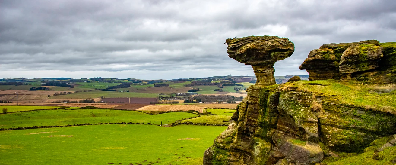 East of Scotland Networks