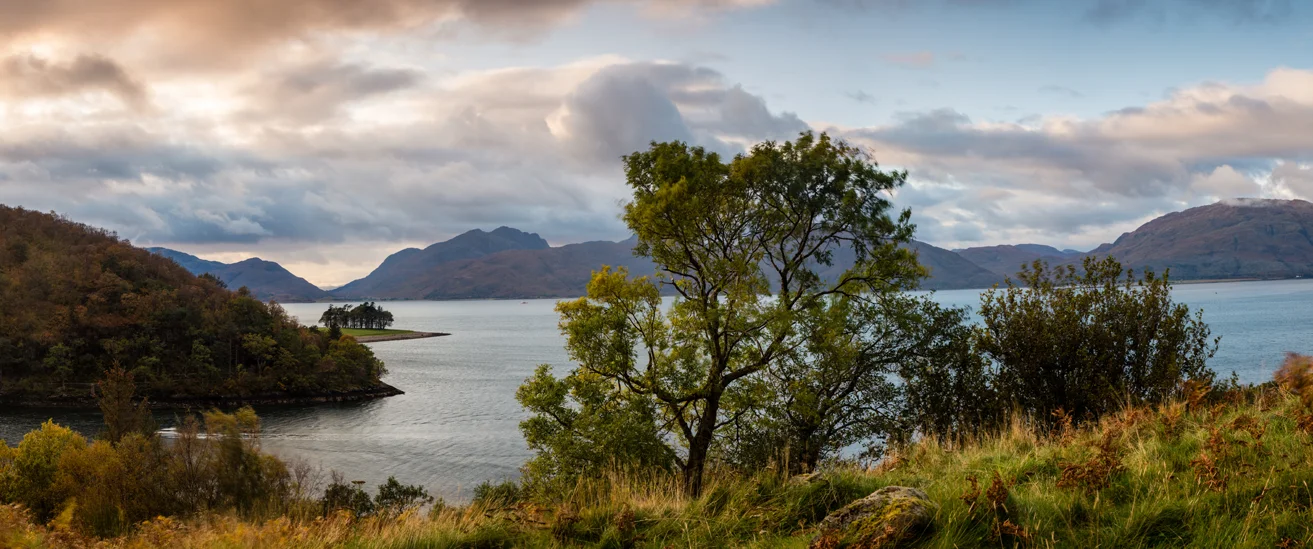 West of Scotland Networks