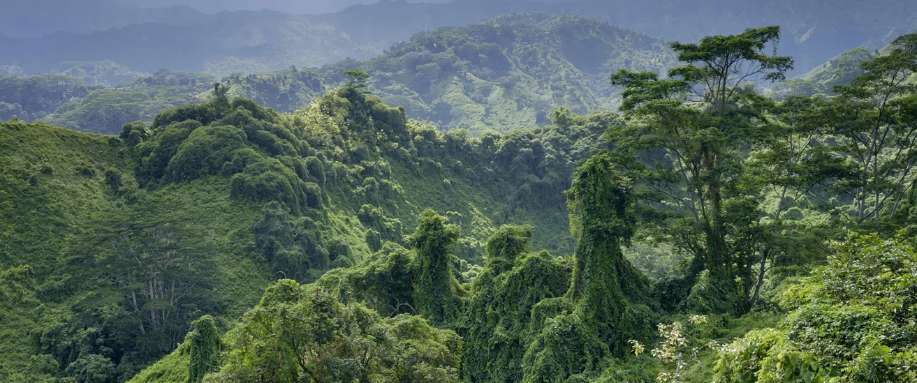 global climate justice for churches