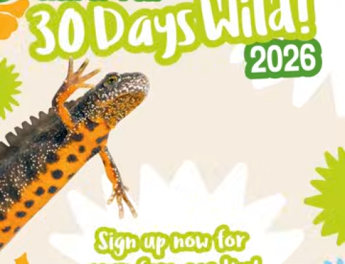 30 Days Wild – June 2026