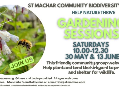 Kirkyard Gardening Event