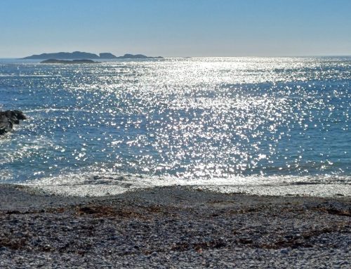 Wind Power and its Impacts: The Machair Wind Proposal
