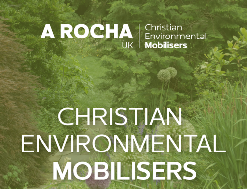 The Christian Environmental Mobilisers Course – A Rocha UK