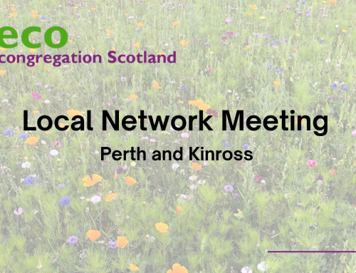 Perth and Kinross Local Network News